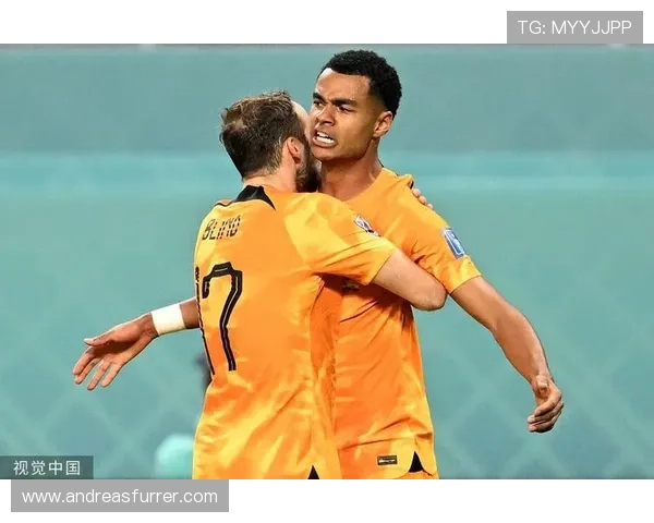 加克波近期进球表现稳健，助力荷兰队进攻端持续提升